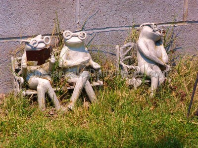 Yard Frogs Relaxing
