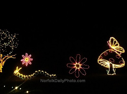 Mushroom, Caterpillars and Butterflies - Norfolk Botanical Gardens - 2008 Garden of Lights