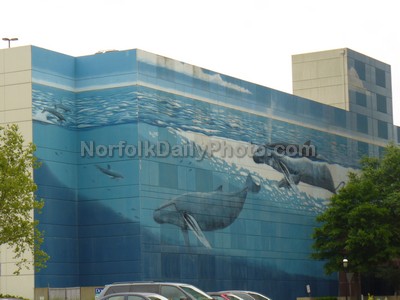 Sea Life Mural on Dominion Tower and Sheraton Hotel Parking Garage