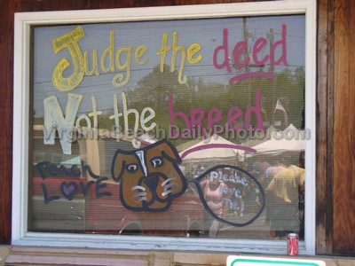 Pungo Veterinarian Clinic Mural