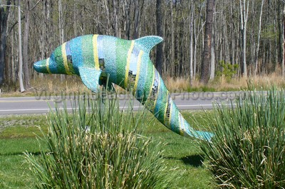 Sparkling Dolphin outside of Siebert Realty in Sandbridge